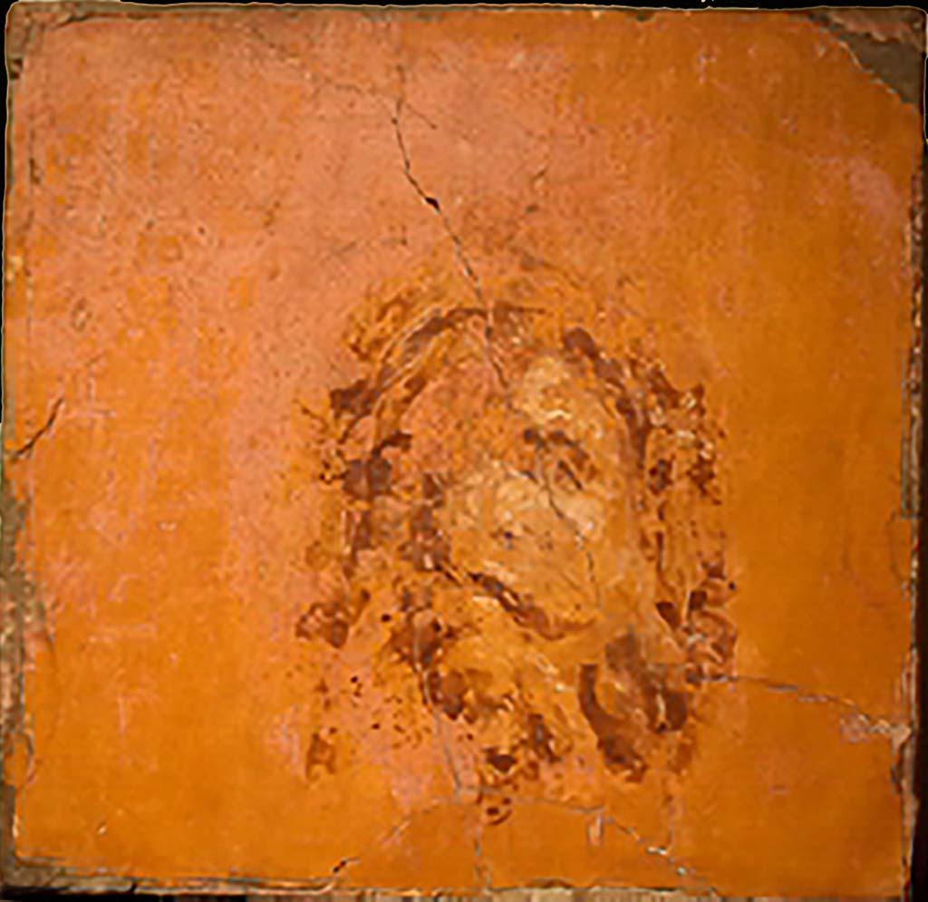 Villa dei Papiri, Herculaneum. Fresco of Medusa head.
Now in Naples Archaeological Museum. Inventory number 8821D.